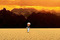 Kill-bin-laden-with-missiles
