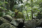 Game-shooting-rambo-duten-jungle-da