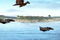 Fps-మోడ్-తో-ఎయిర్-ఎటాక్-గేమ్
